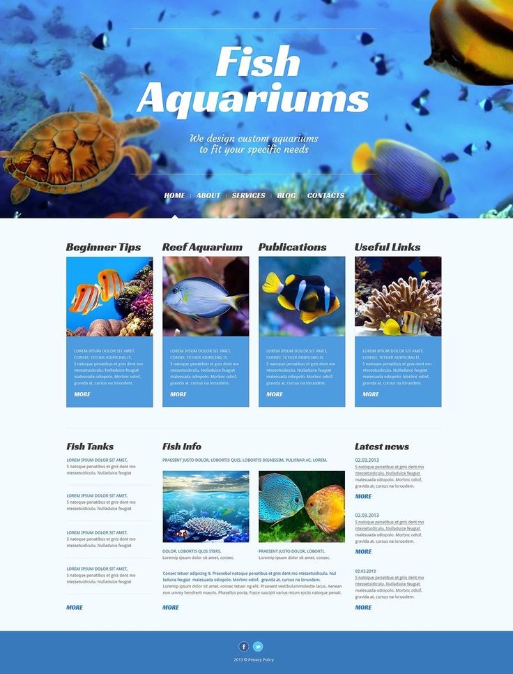 水族館寵物店美容院貓狗網站建設網頁設計518-956-567 水族館寵物店美容院貓狗網站建設網頁設計518-956-567