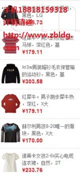美国企业网站制作与设计 长岛网络软件电脑