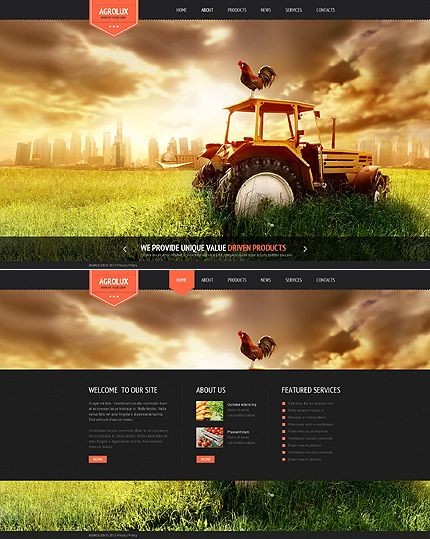 北美农场有机farm农产品批发网站建站开发518-956-5 北美农场有机farm农产品批发网站建站开发518-956-5